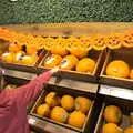 Harry picks a pumpkin out, A Trip to Weybread Sailing Club, Harleston, Norfolk - 17th October 2021