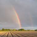 There's a nice double rainbow over the back field, Cameraphone Randomness and The Crystal Maze, London - 21st October 2021