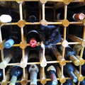 2021 Molly Kitten climbs out of the wine rack