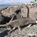 The resident grey cat at Playa Chica, Five Days in Lanzarote, Canary Islands, Spain - 24th October 2021