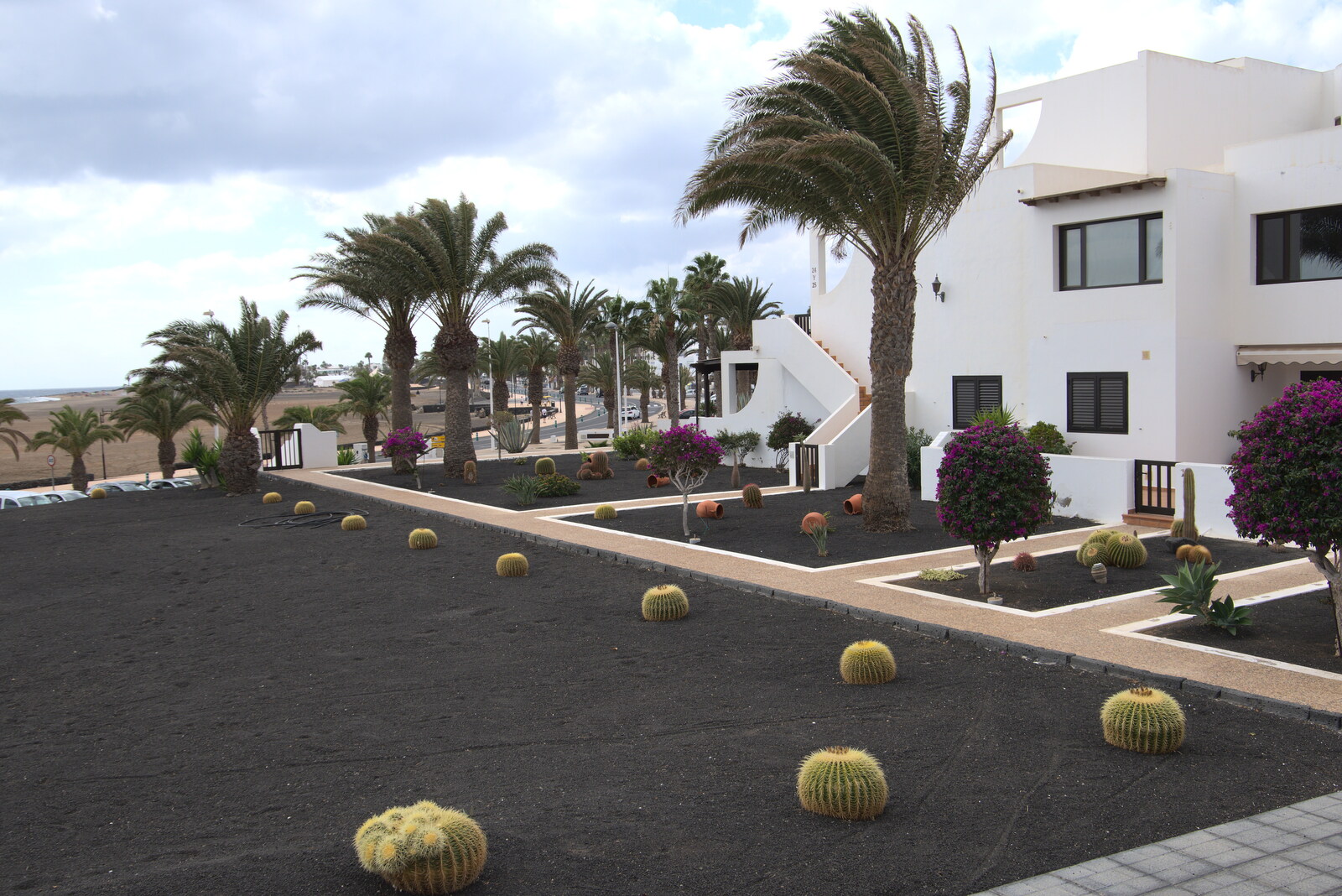 Cool football-like cacti from Five Days in Lanzarote, Canary Islands, Spain - 24th October 2021