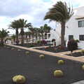 Cool football-like cacti, Five Days in Lanzarote, Canary Islands, Spain - 24th October 2021