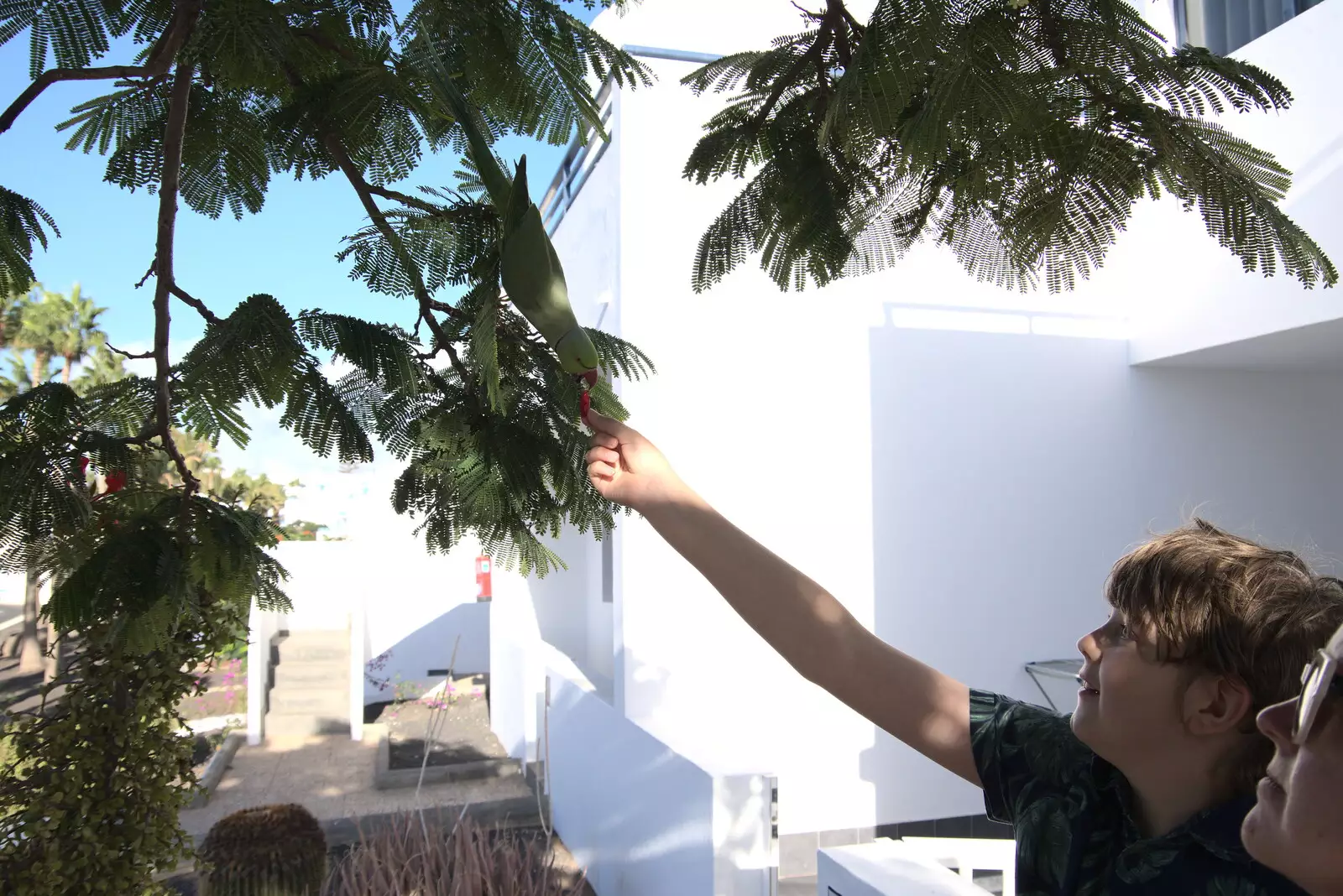 Fred feeds the parrot a flower petal, from Five Days in Lanzarote, Canary Islands, Spain - 24th October 2021