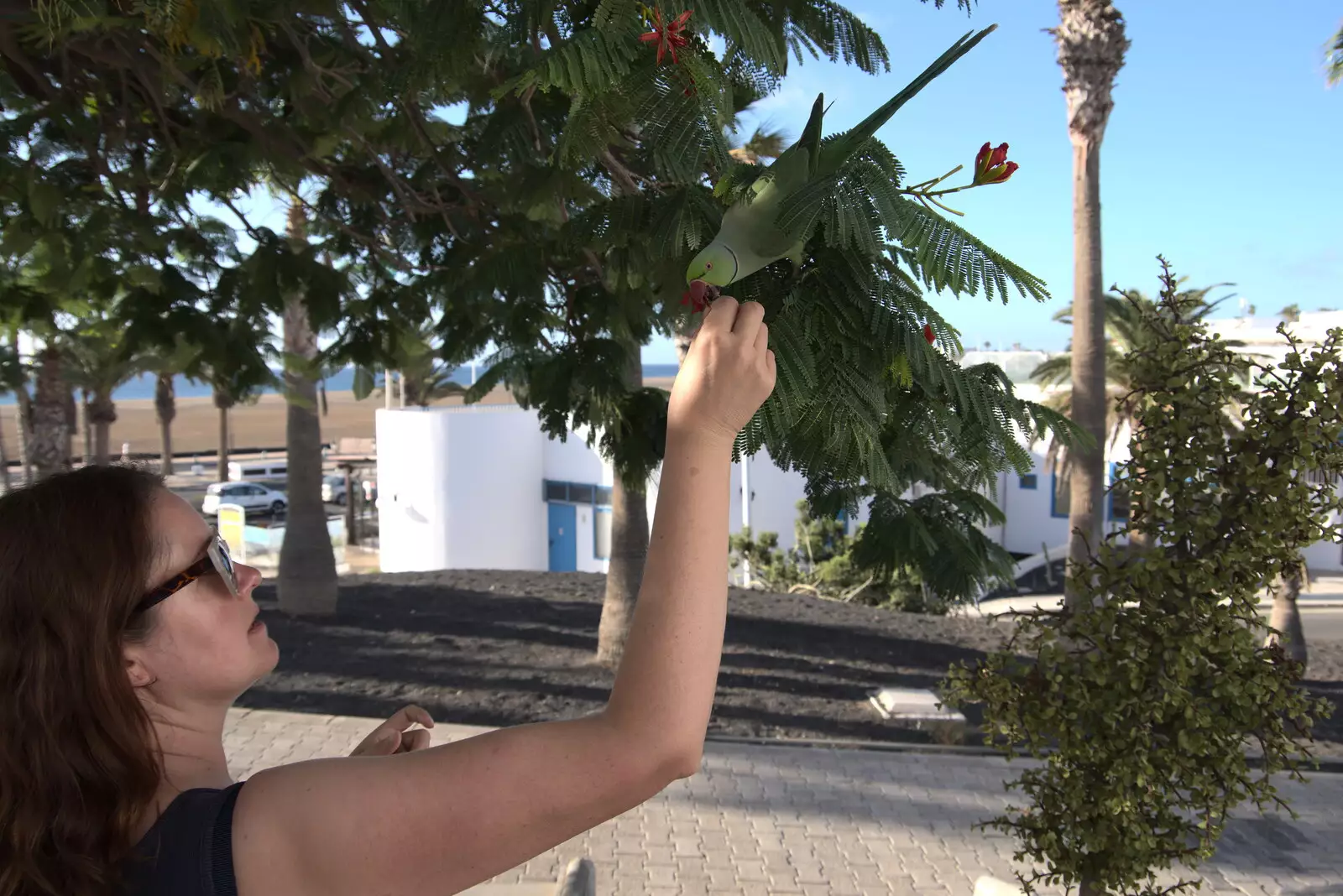 Isobel gets nibbled by the parrot's powerful beak, from Five Days in Lanzarote, Canary Islands, Spain - 24th October 2021