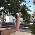 Isobel gets nibbled by the parrot's powerful beak, Five Days in Lanzarote, Canary Islands, Spain - 24th October 2021