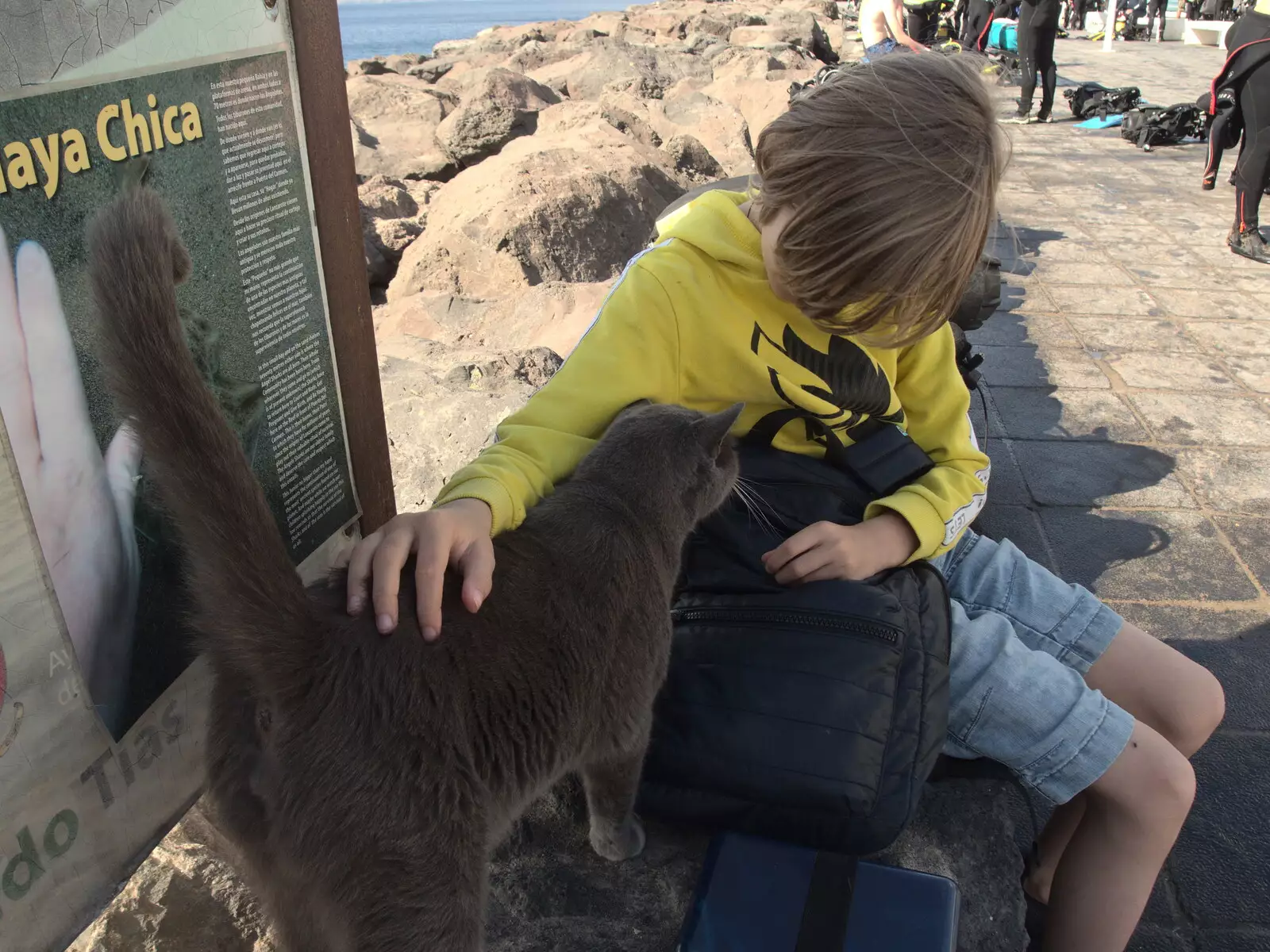 Harry interacts with the resident grey cat, from The Volcanoes of Lanzarote, Canary Islands, Spain - 27th October 2021