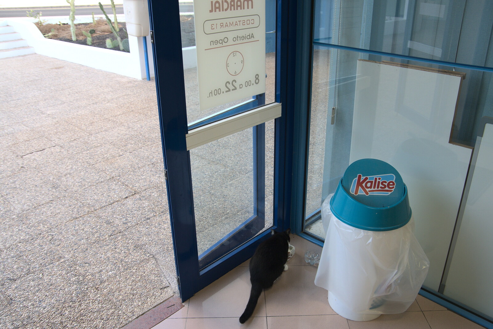 The Spar cat gets breakfast from The Volcanoes of Lanzarote, Canary Islands, Spain - 27th October 2021