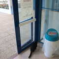 The Spar cat gets breakfast, The Volcanoes of Lanzarote, Canary Islands, Spain - 27th October 2021
