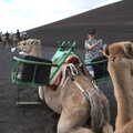 Harry's on a camel, The Volcanoes of Lanzarote, Canary Islands, Spain - 27th October 2021