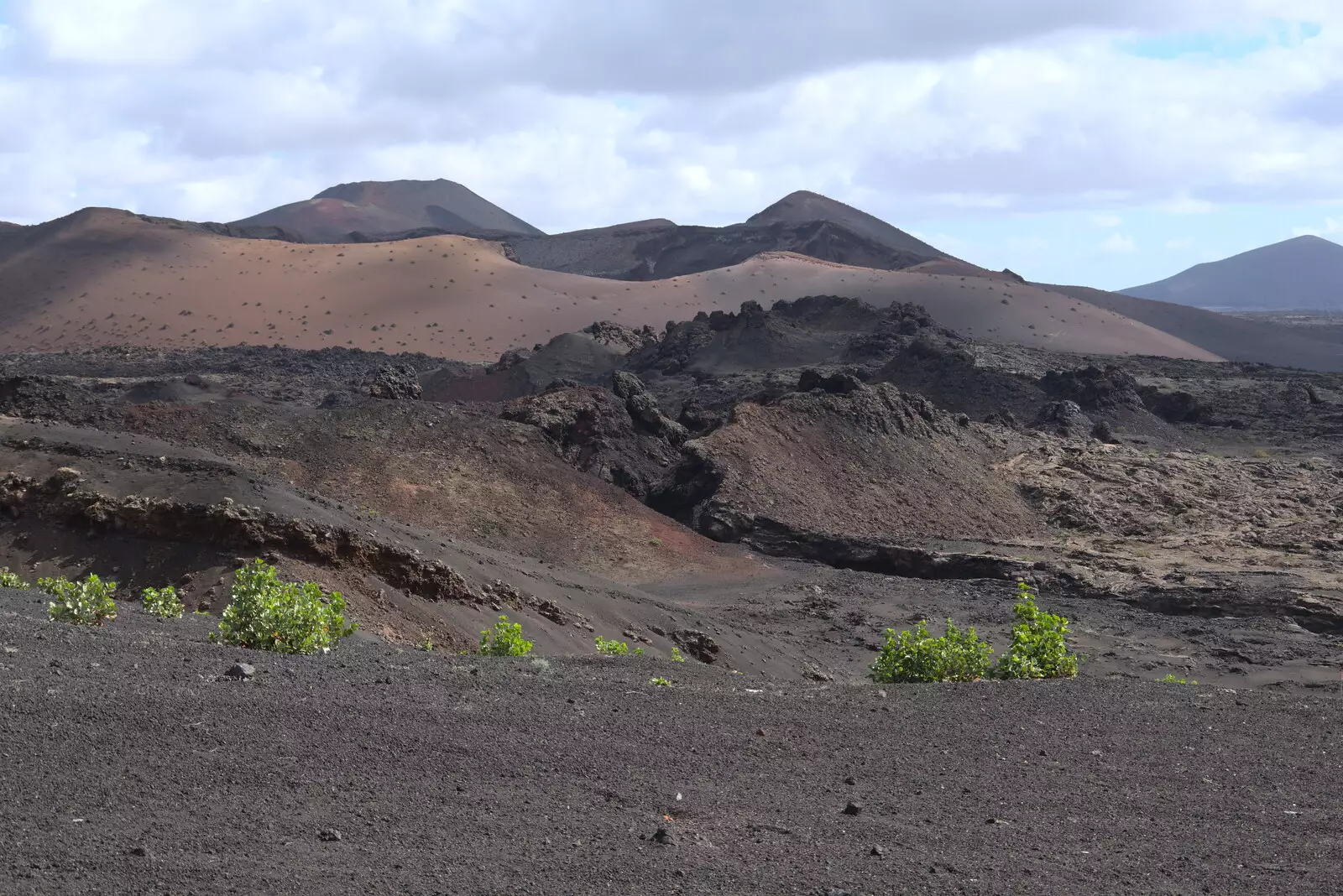 Some rare green foliage, from The Volcanoes of Lanzarote, Canary Islands, Spain - 27th October 2021