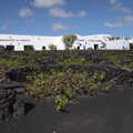 We stop off at the Vinos del Campesino, The Volcanoes of Lanzarote, Canary Islands, Spain - 27th October 2021