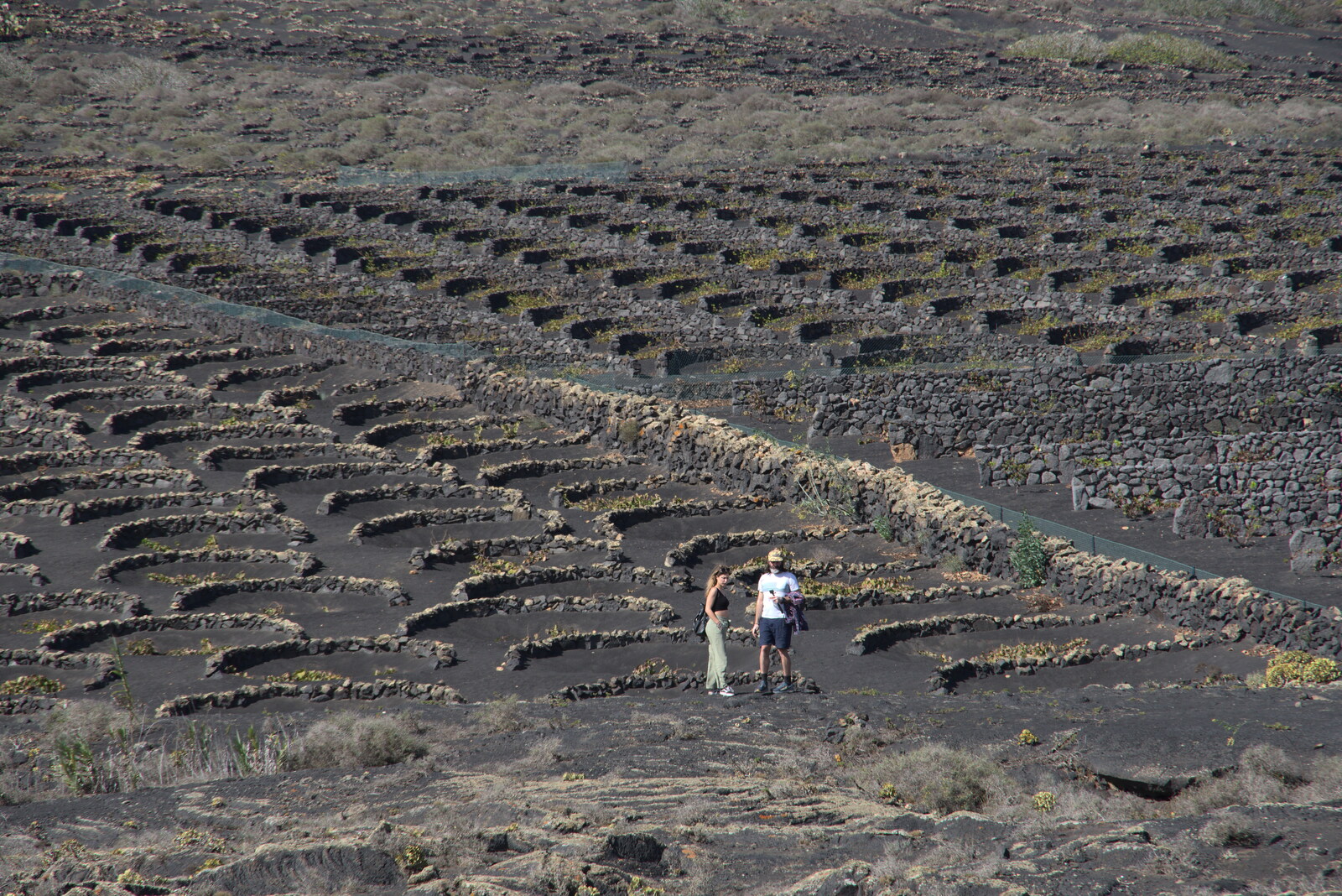 Semi-circle walls where vines are grown from The Volcanoes of Lanzarote, Canary Islands, Spain - 27th October 2021