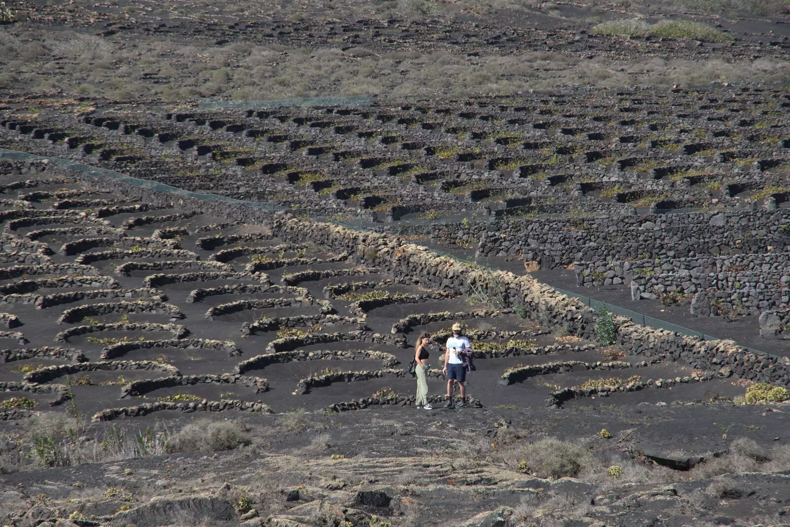 Semi-circle walls where vines are grown, from The Volcanoes of Lanzarote, Canary Islands, Spain - 27th October 2021