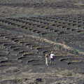 Semi-circle walls where vines are grown, The Volcanoes of Lanzarote, Canary Islands, Spain - 27th October 2021