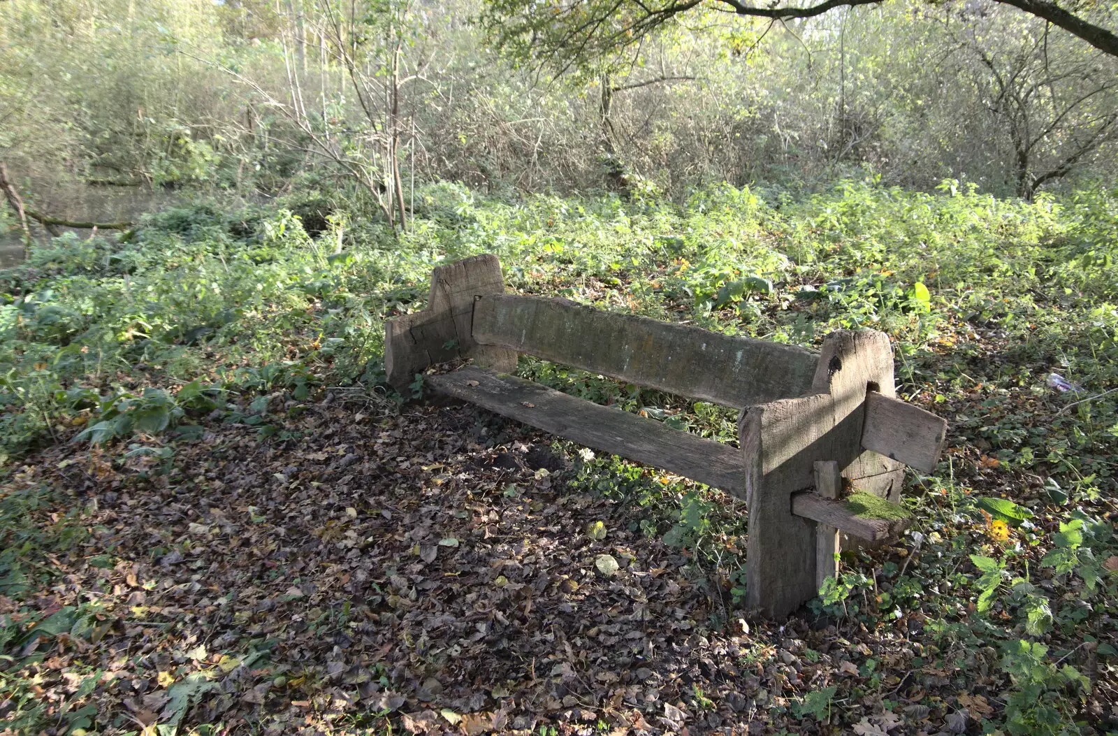 A bench in the woods, from A New Playground and Container Mountain, Eye, Suffolk - 7th November 2021