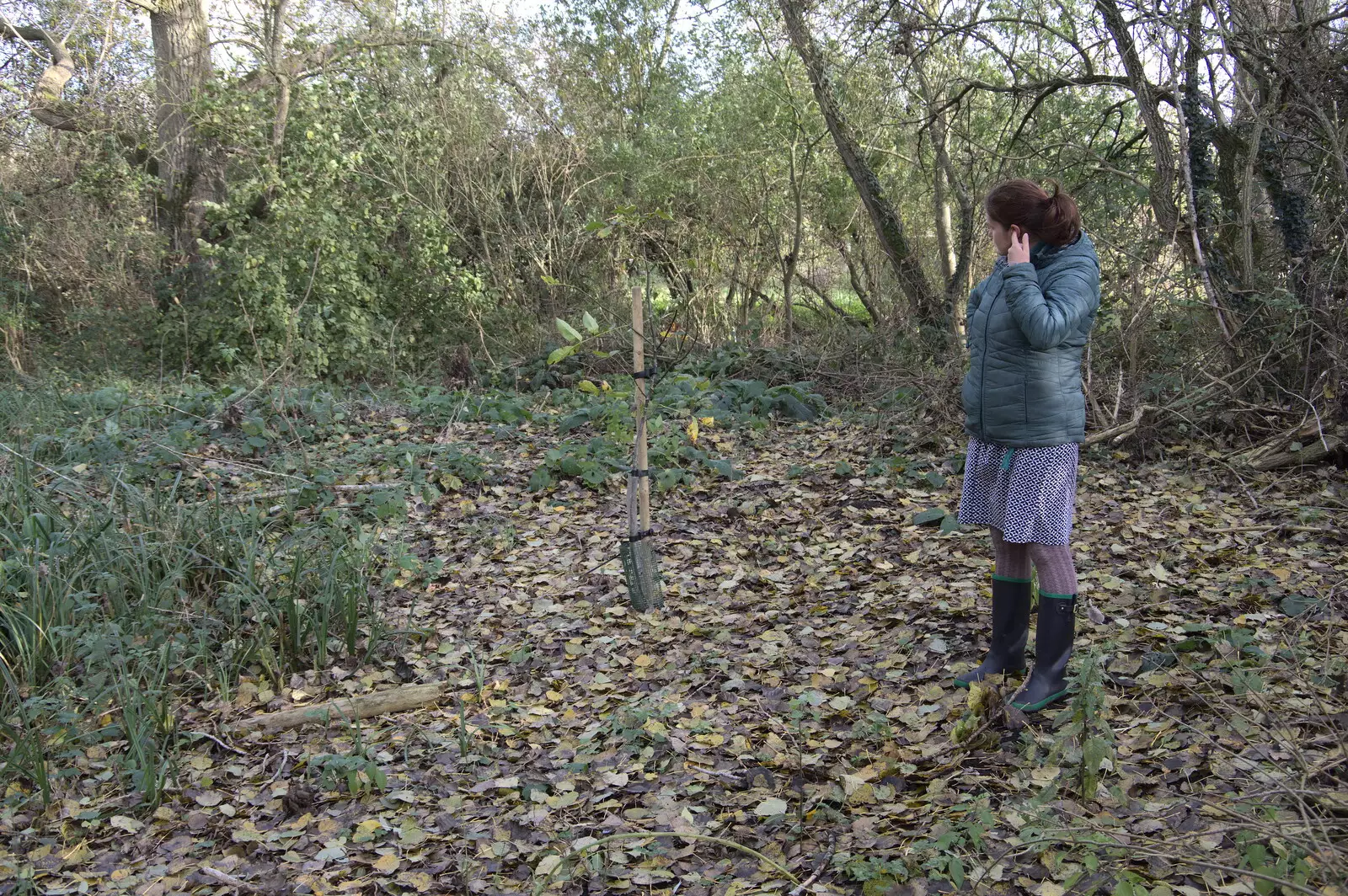 Isobel looks at Anita-tree, from A New Playground and Container Mountain, Eye, Suffolk - 7th November 2021