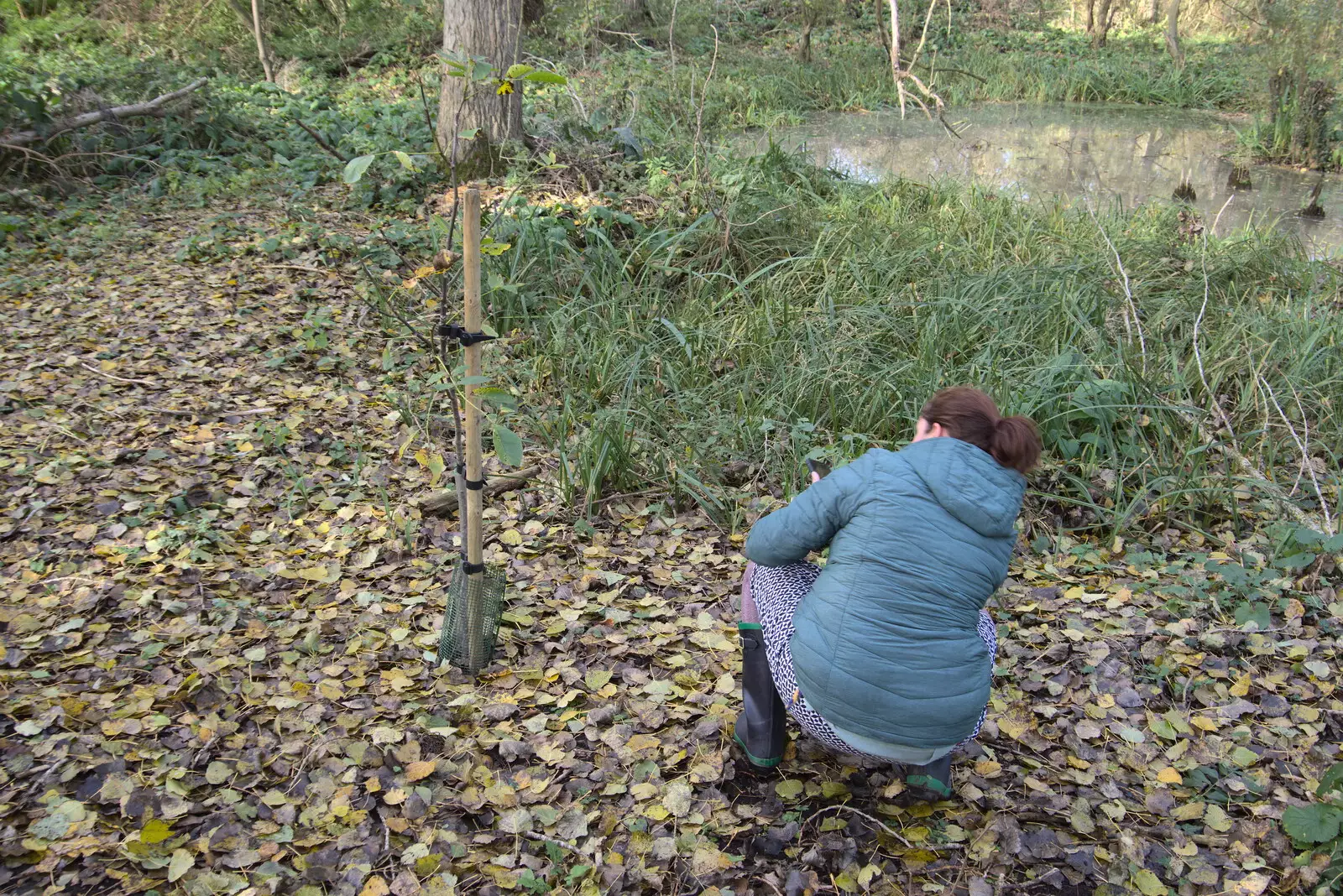 Isobel takes a photo of the memorial tree, from A New Playground and Container Mountain, Eye, Suffolk - 7th November 2021