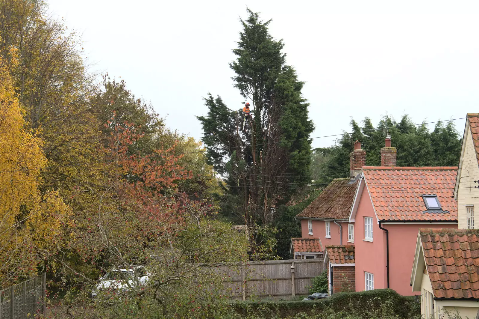 There's some tree surgery down the road, from A New Playground and Container Mountain, Eye, Suffolk - 7th November 2021