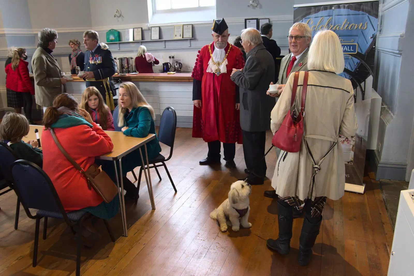 A small dog looks up, from The GSB and Remembrance Day Parades, Eye and Botesdale, Suffolk - 14th November 2021