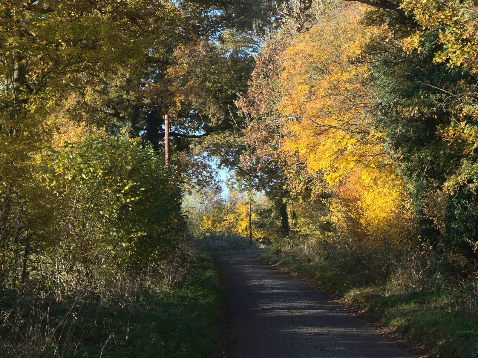 Very autumn scene near Thrandeston, from Norwich Lights and a Village Hall Jumble Sale, Brome, Suffolk - 20th November 2021