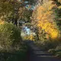 Very autumn scene near Thrandeston, Norwich Lights and a Village Hall Jumble Sale, Brome, Suffolk - 20th November 2021