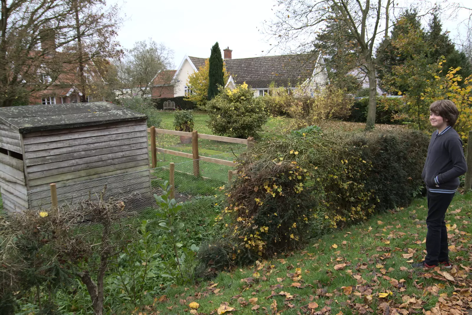 Fred has a look around outside, from Norwich Lights and a Village Hall Jumble Sale, Brome, Suffolk - 20th November 2021