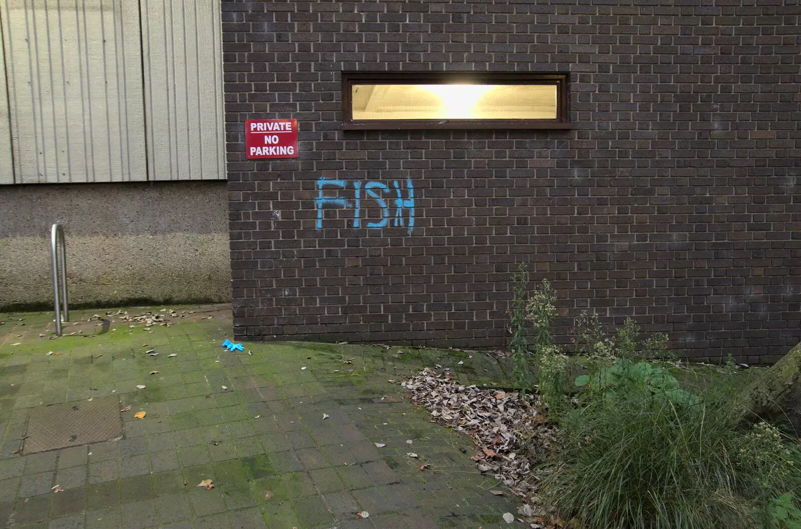 An enigmatic 'fish' tag on St. Giles car park, from Norwich Lights and a Village Hall Jumble Sale, Brome, Suffolk - 20th November 2021