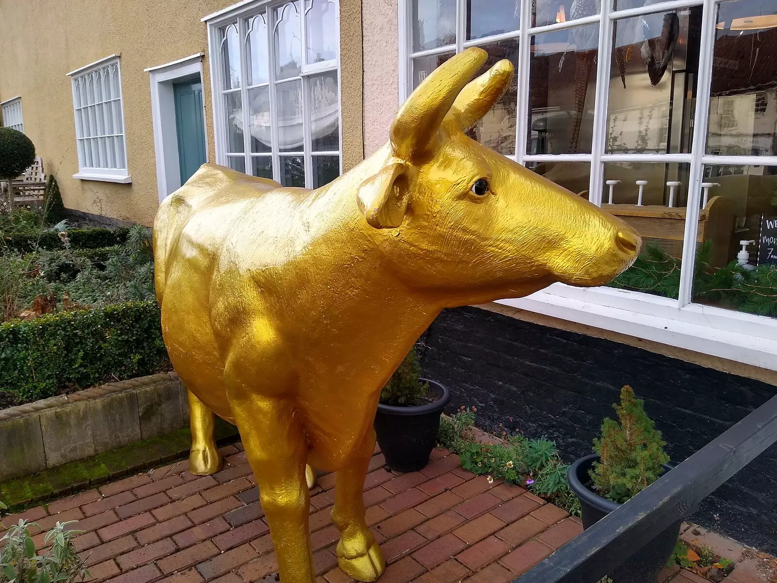 A golden cow outside the butcher's in Debenham, from Dove Players' Trouble in Pantoland, Eye Community Centre, Suffolk - 11th December 2021