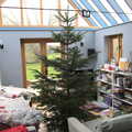 The Christmas tree has been installed, Dove Players' Trouble in Pantoland, Eye Community Centre, Suffolk - 11th December 2021
