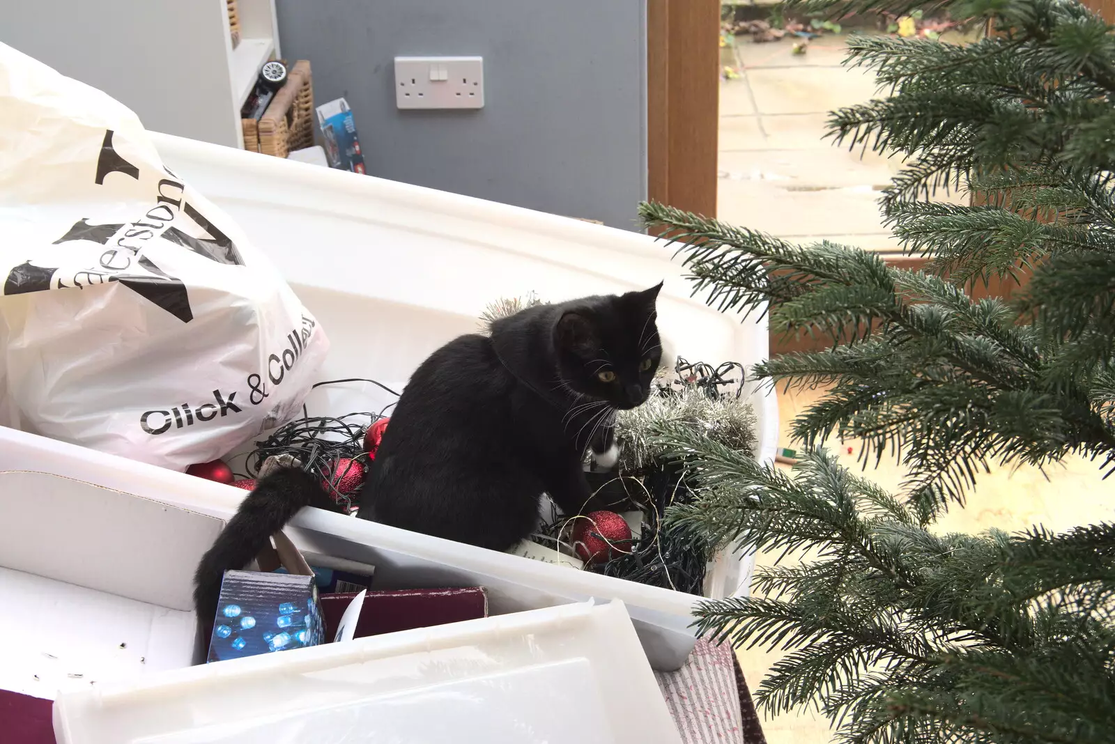 Molly kitten helps with Christmas decorating, from Dove Players' Trouble in Pantoland, Eye Community Centre, Suffolk - 11th December 2021