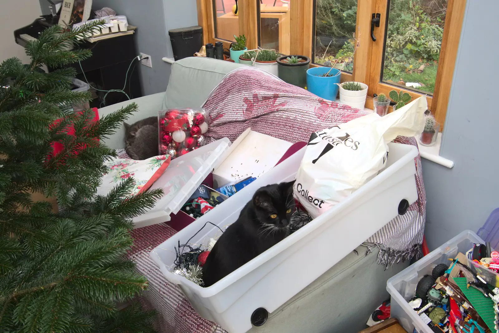 Cat in a box, from Dove Players' Trouble in Pantoland, Eye Community Centre, Suffolk - 11th December 2021