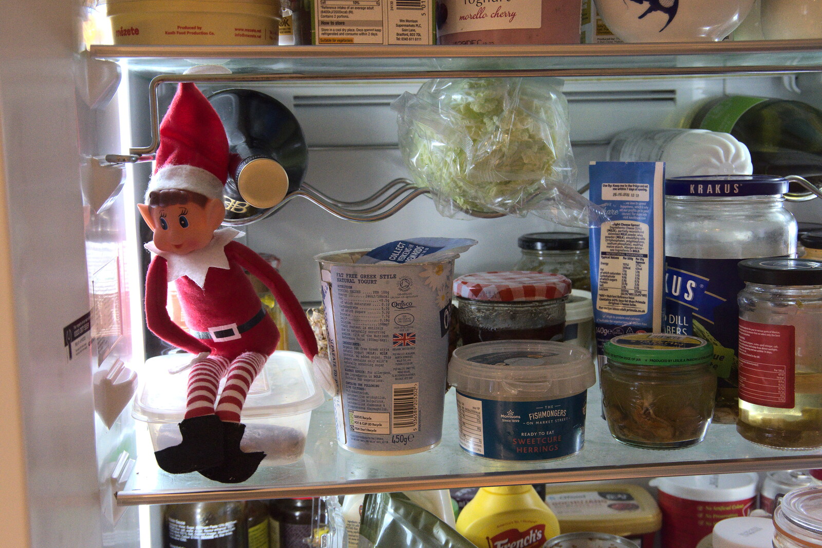 The Elf on the Shelf is up to no good in the fridge from GSB Carols and Beer With the Lads, Thornham and Thorndon, Suffolk  - 18th December 2021