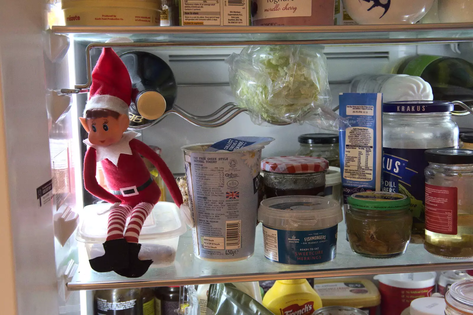 The Elf on the Shelf is up to no good in the fridge, from GSB Carols and Beer With the Lads, Thornham and Thorndon, Suffolk  - 18th December 2021