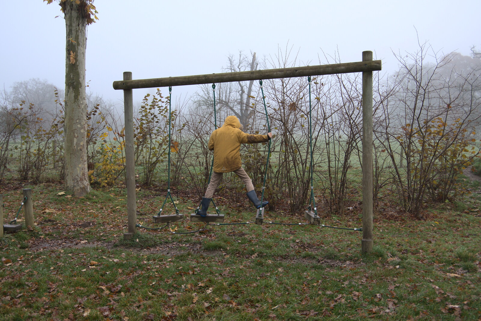 Harry does an obstacle swing thing from A Return to Thornham Walks, Thornham, Suffolk - 19th December 2021