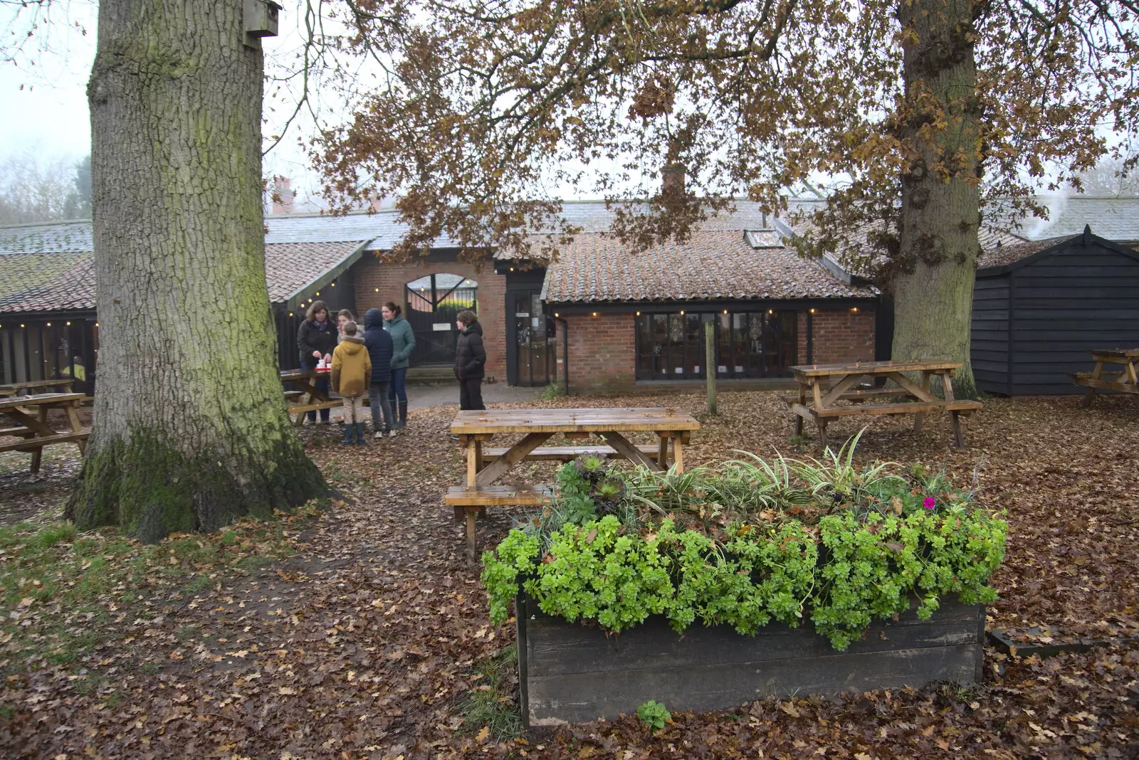 Isobel, Sis and the boys hang around by the café, from A Return to Thornham Walks, Thornham, Suffolk - 19th December 2021