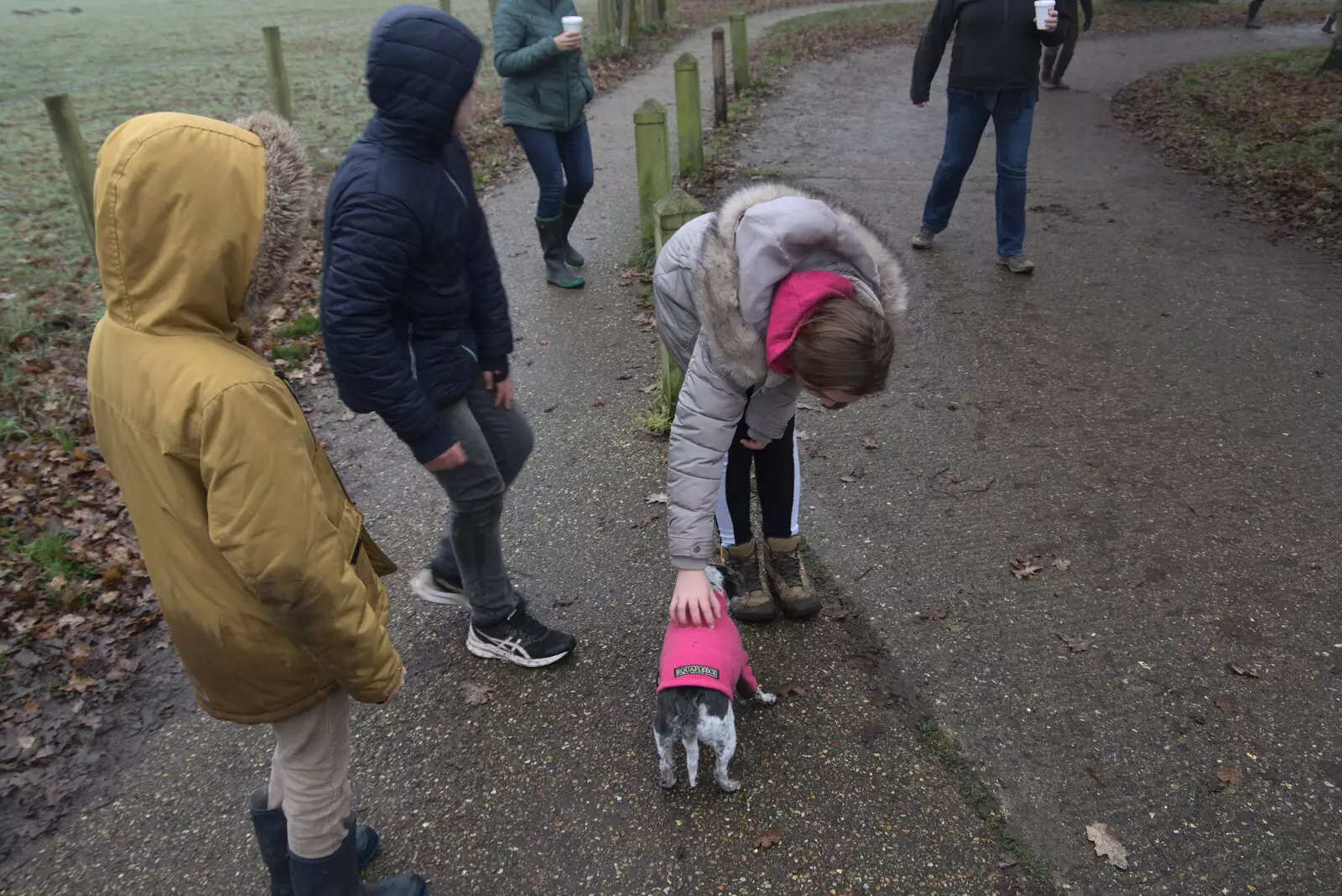 A dog with a pink jacket on trots past, from A Return to Thornham Walks, Thornham, Suffolk - 19th December 2021