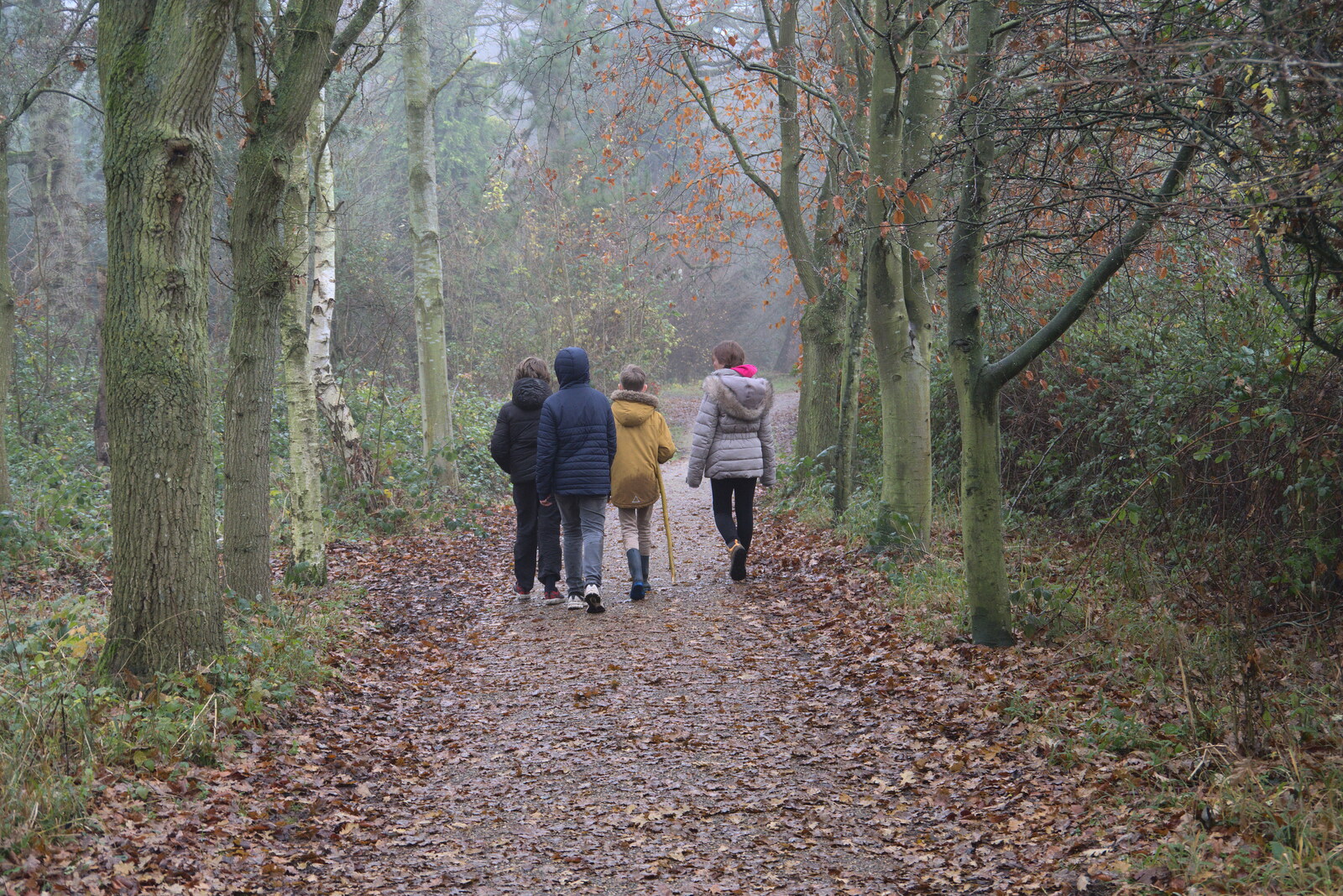 We head off through the woods from A Return to Thornham Walks, Thornham, Suffolk - 19th December 2021