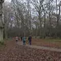 The woods of Thornham Estate, A Return to Thornham Walks, Thornham, Suffolk - 19th December 2021