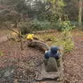 Harry pokes around on the dragon, A Return to Thornham Walks, Thornham, Suffolk - 19th December 2021