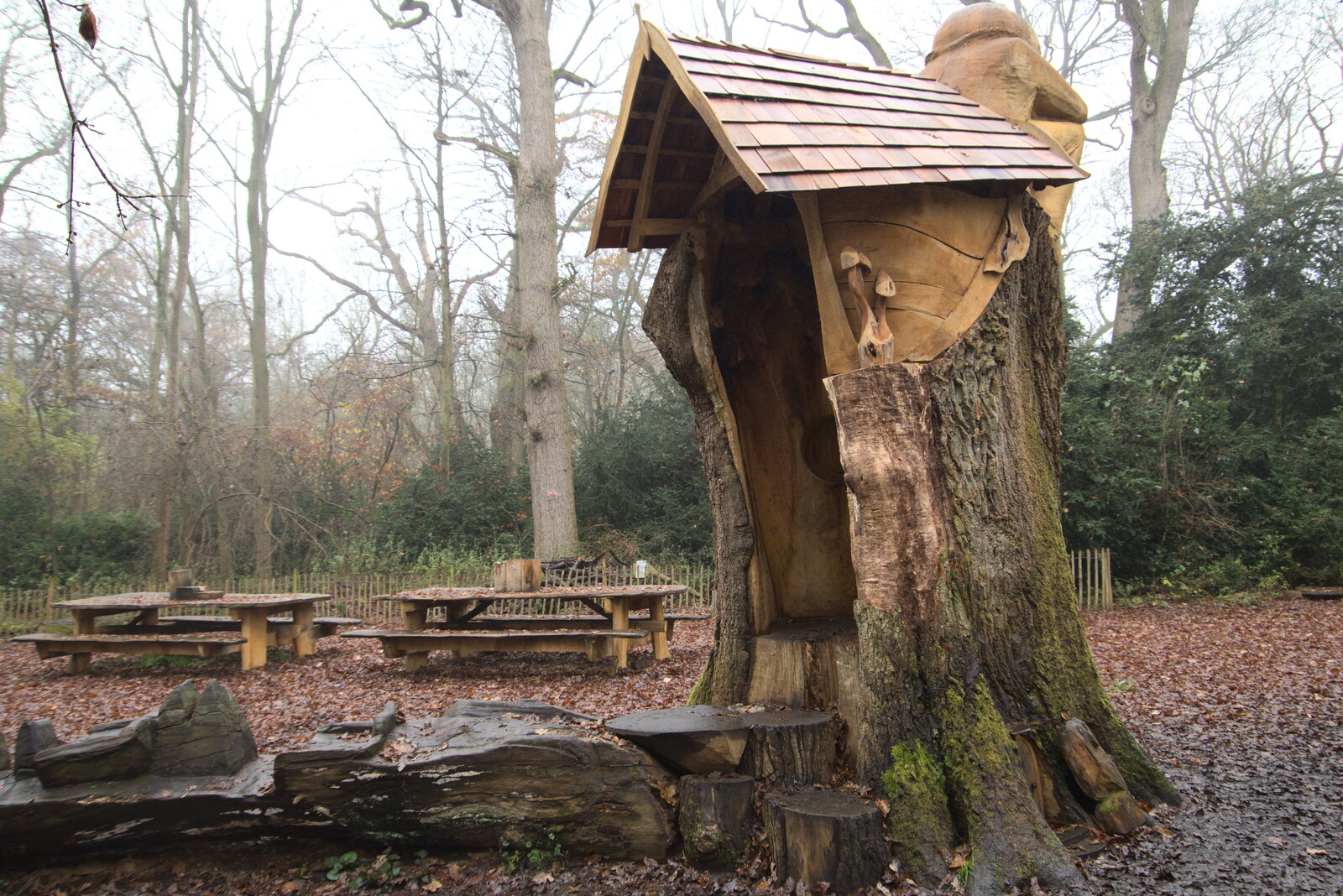 The fallen tree has been turned into a hut from A Return to Thornham Walks, Thornham, Suffolk - 19th December 2021