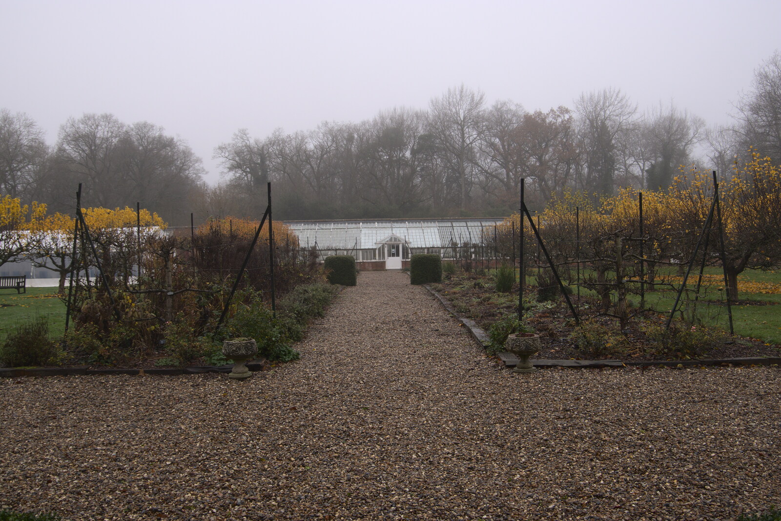 The walled garden in the sad mist of winter from A Return to Thornham Walks, Thornham, Suffolk - 19th December 2021