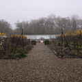 2021 The walled garden in the sad mist of winter
