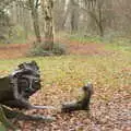 The old man of the woods, A Return to Thornham Walks, Thornham, Suffolk - 19th December 2021