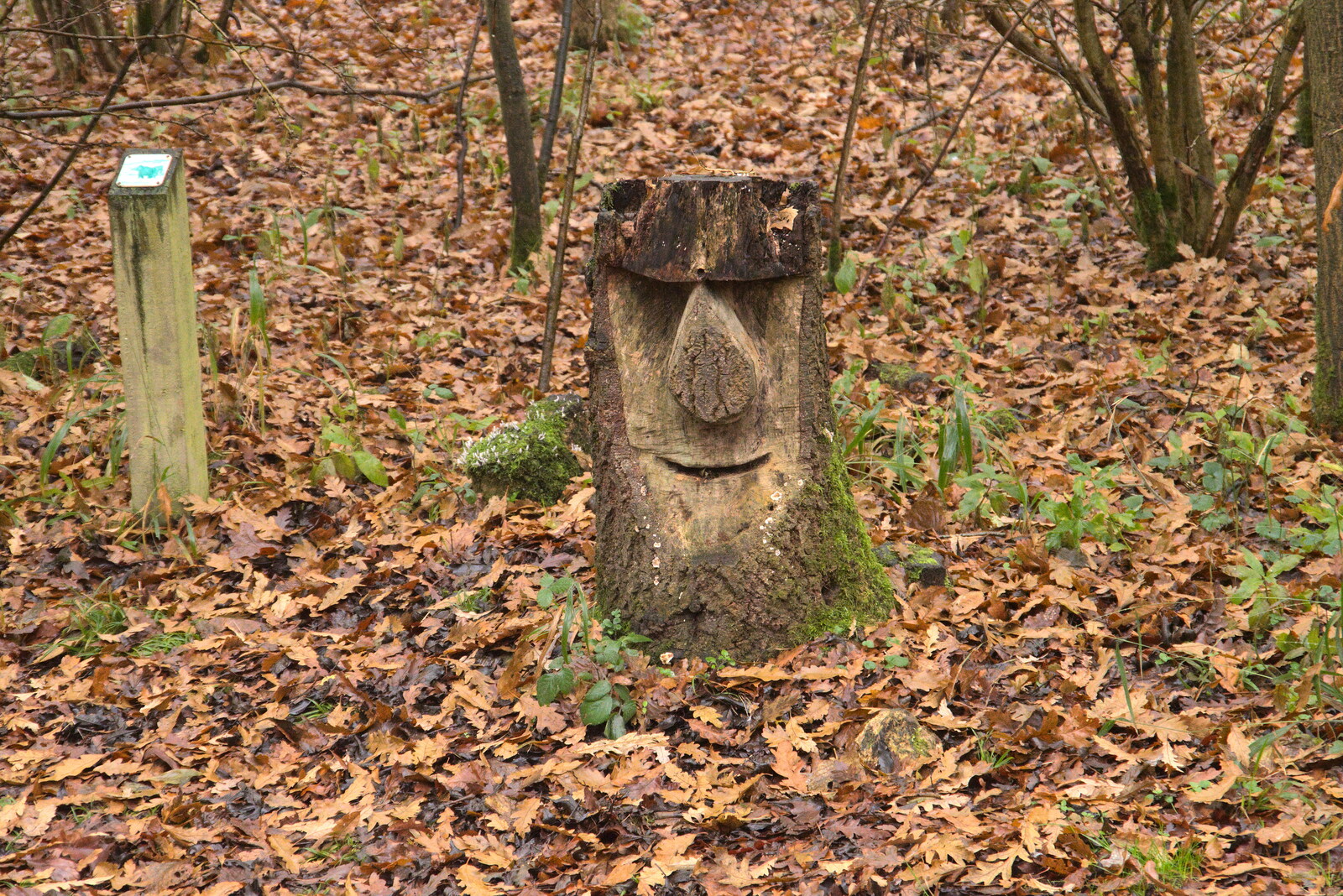 A smiling wooden Moai from A Return to Thornham Walks, Thornham, Suffolk - 19th December 2021