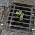 It's discovered that drain covers have a direction, Scooters and a Bit of Christmas Shopping, Eye and Norwich, Norfolk - 23rd December 2021