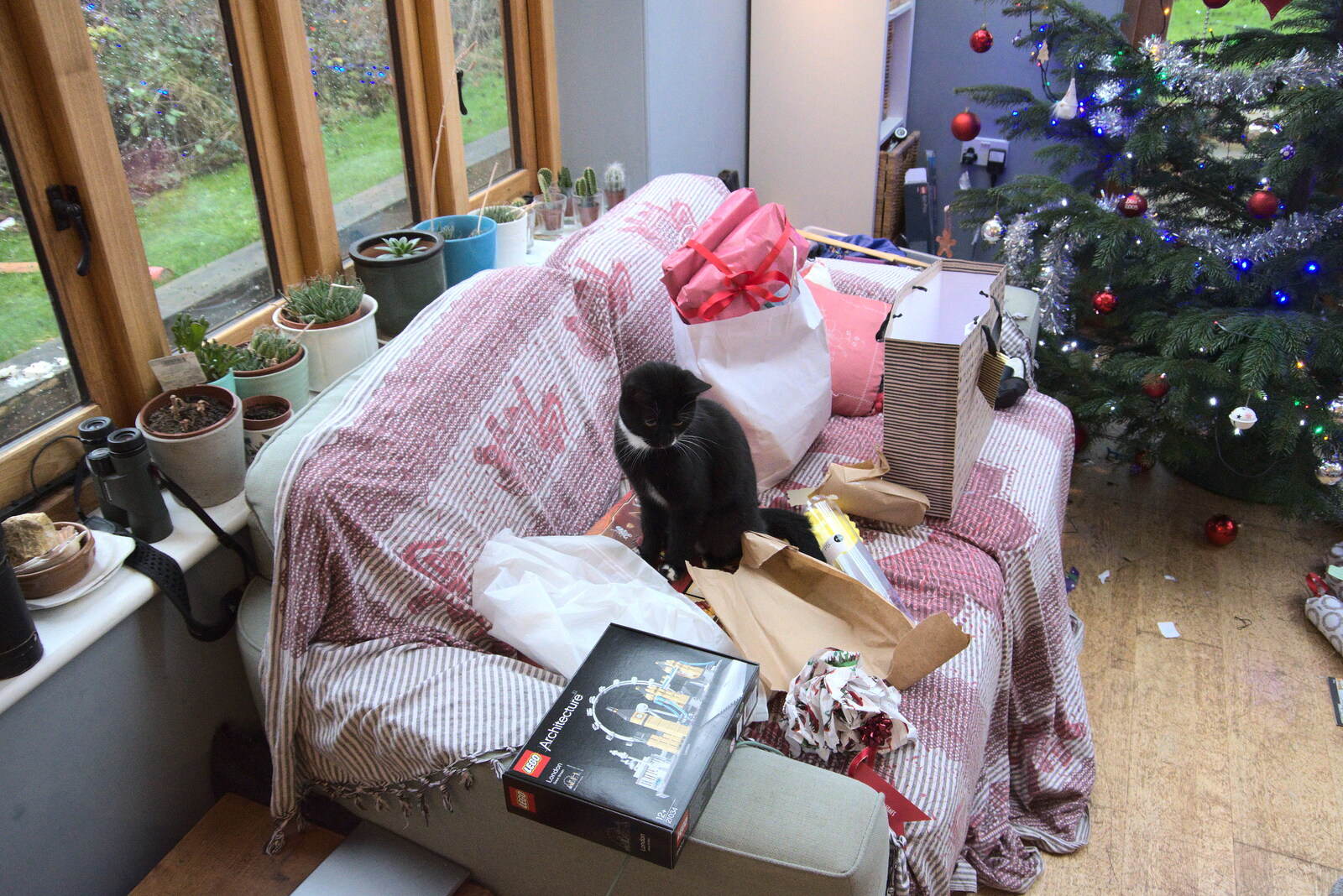 A kitten sits on wrapping paper from Christmas Day at Home, Brome, Suffolk - 25th December 2021