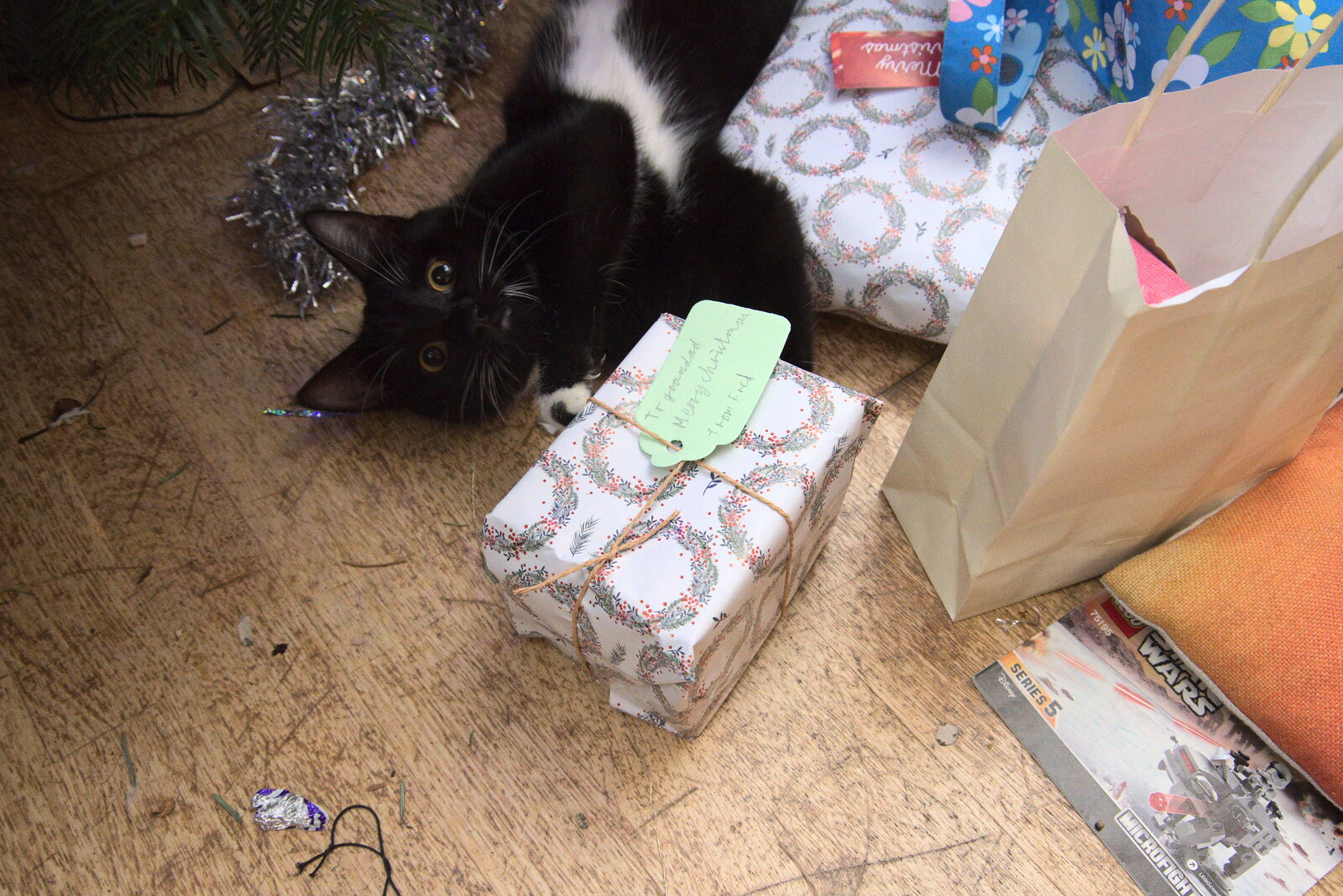 Molly Kitten plays around under the tree from Christmas Day at Home, Brome, Suffolk - 25th December 2021