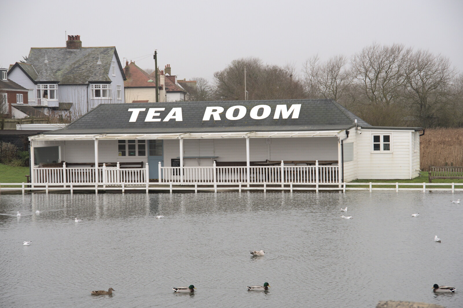 The Team Room is almost flooded from A Few Hours at the Seaside, Southwold, Suffolk - 27th December 2021