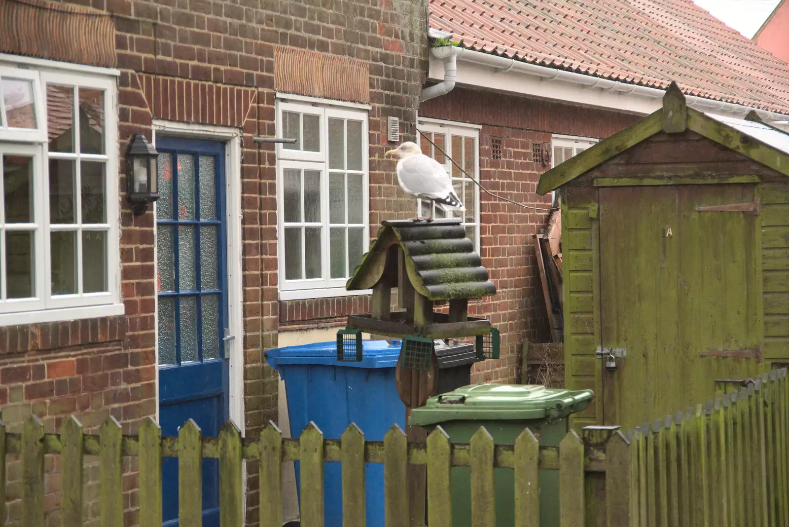 There's a massive gull on a bird table, from A Few Hours at the Seaside, Southwold, Suffolk - 27th December 2021