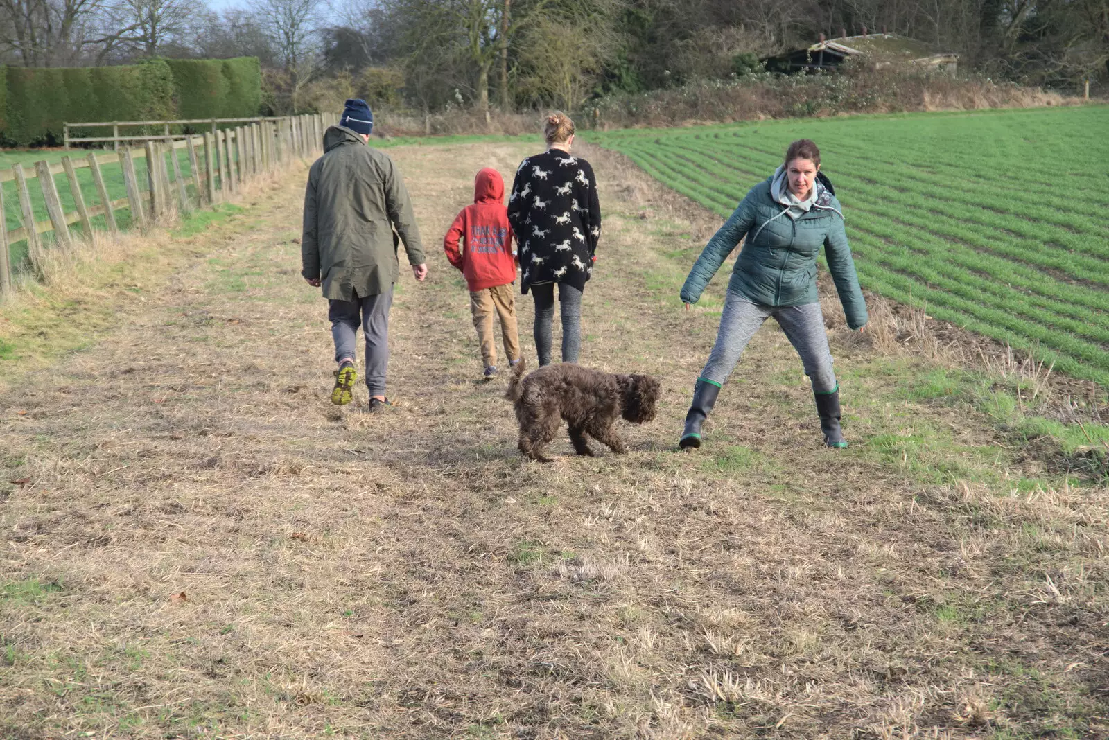 The crazy dog runs around, from New Year's Day, Brome, Suffolk - 1st January 2022